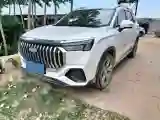 2024 Geely Okavango L 2.0T 218HP L4 7DCT