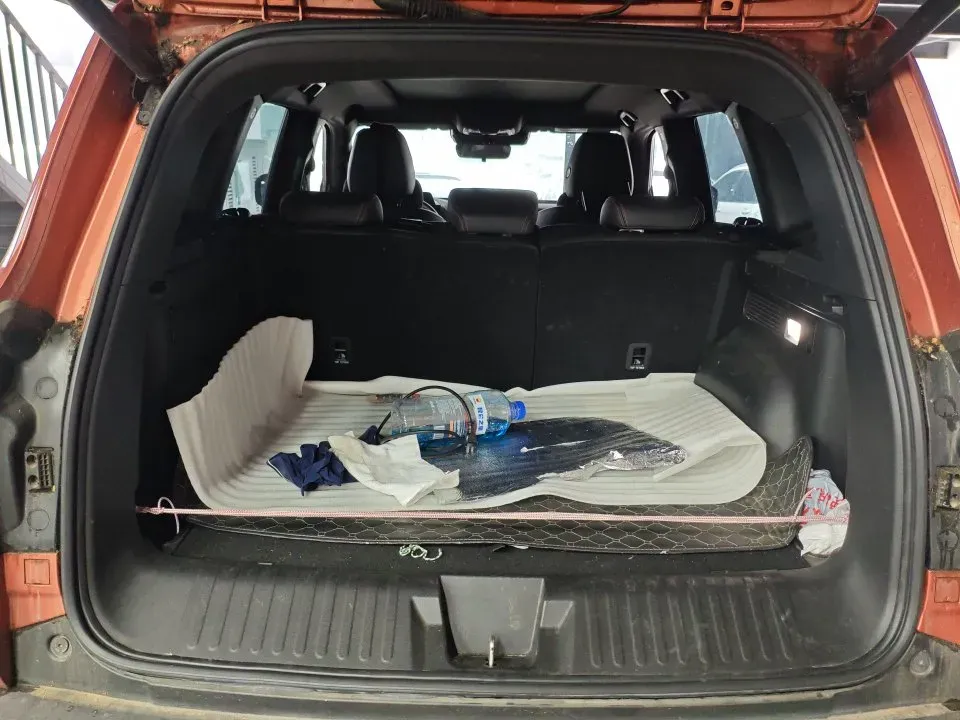 2021 Haval Dargo 2.0T 211HP L4 7DCT,autocango,china used car exporter,china ev exporter,chinese used car exporter,chinese used ev exporter