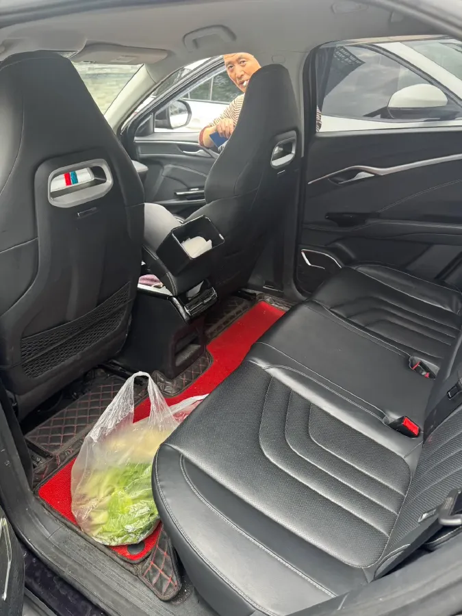 2021 DongFeng FuKang e Elysee BEV 38.4KWH,autocango,china used car exporter,china ev exporter,chinese used car exporter,chinese used ev exporter