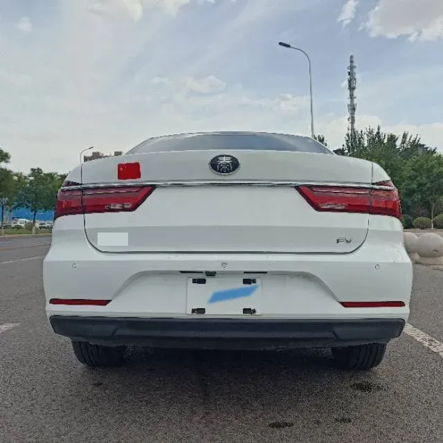 2019 BYD Qin BEV 53.1KWH,autocango,china used car exporter,china ev exporter,chinese used car exporter,chinese used ev exporter