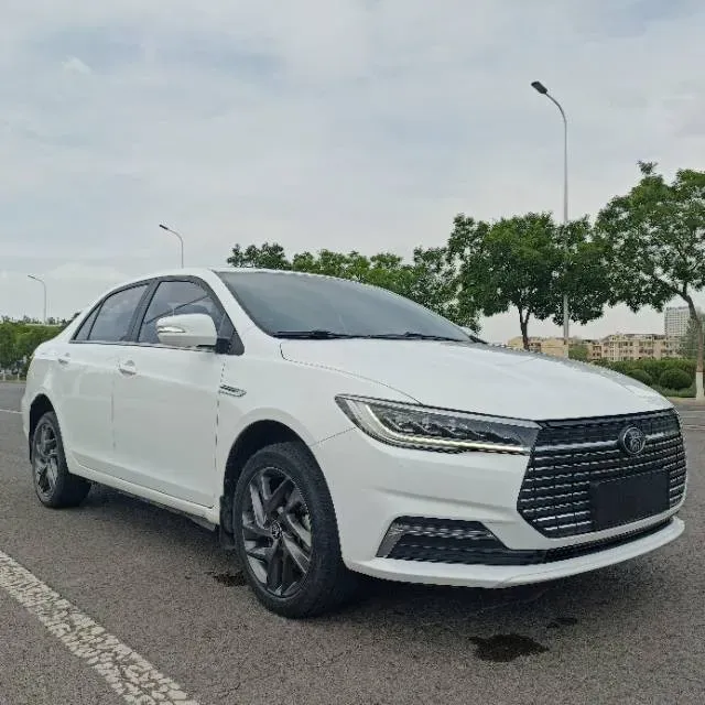 2019 BYD Qin BEV 53.1KWH,autocango,china used car exporter,china ev exporter,chinese used car exporter,chinese used ev exporter