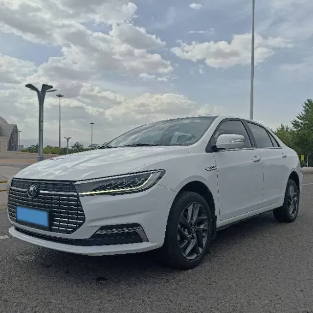 2019 BYD Qin BEV 53.1KWH,autocango,china used car exporter,china ev exporter,chinese used car exporter,chinese used ev exporter