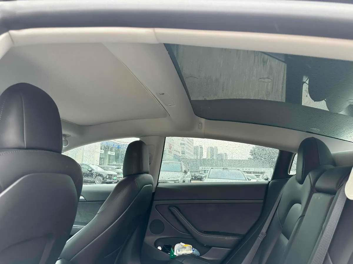 2021 Tesla Model 3 BEV 55KWH,autocango,china used car exporter,china ev exporter,chinese used car exporter,chinese used ev exporter