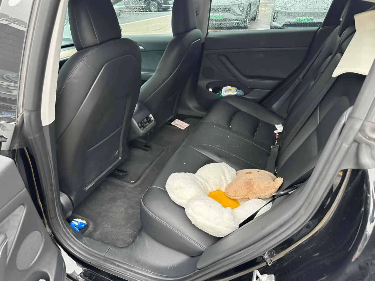 2021 Tesla Model 3 BEV 55KWH,autocango,china used car exporter,china ev exporter,chinese used car exporter,chinese used ev exporter