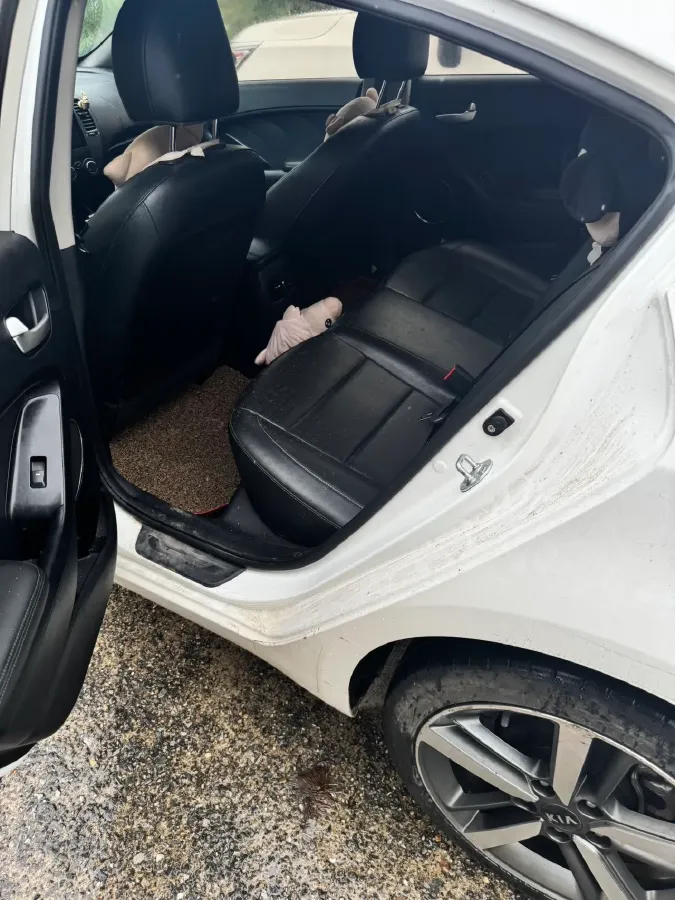 2016 Kia K3 1.6L 128HP L4 6AT,autocango,china used car exporter,china ev exporter,chinese used car exporter,chinese used ev exporter