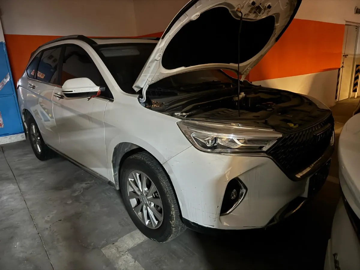 2022 Chery Little Ant BEV 40.6KWH,autocango,china used car exporter,china ev exporter,chinese used car exporter,chinese used ev exporter