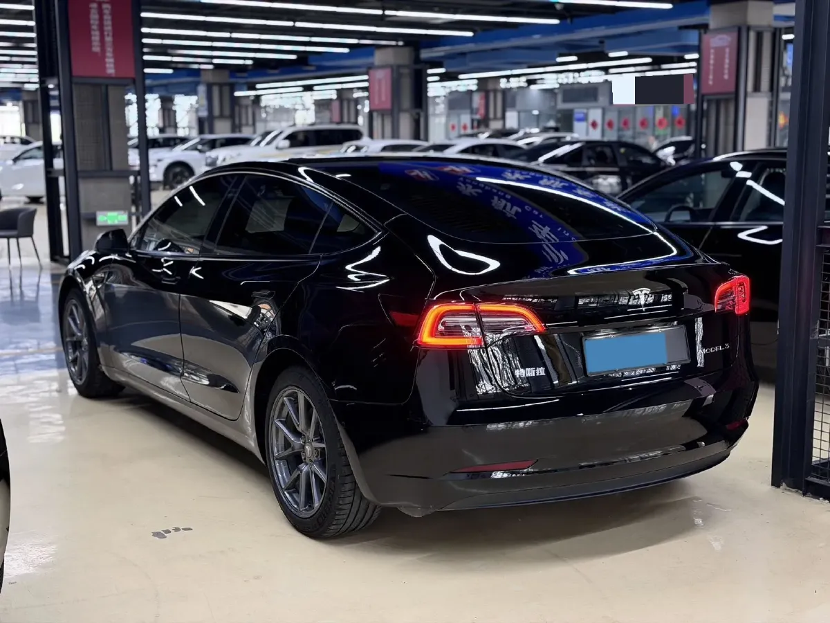 2021 Tesla Model 3 BEV 55KWH,autocango,china used car exporter,china ev exporter,chinese used car exporter,chinese used ev exporter