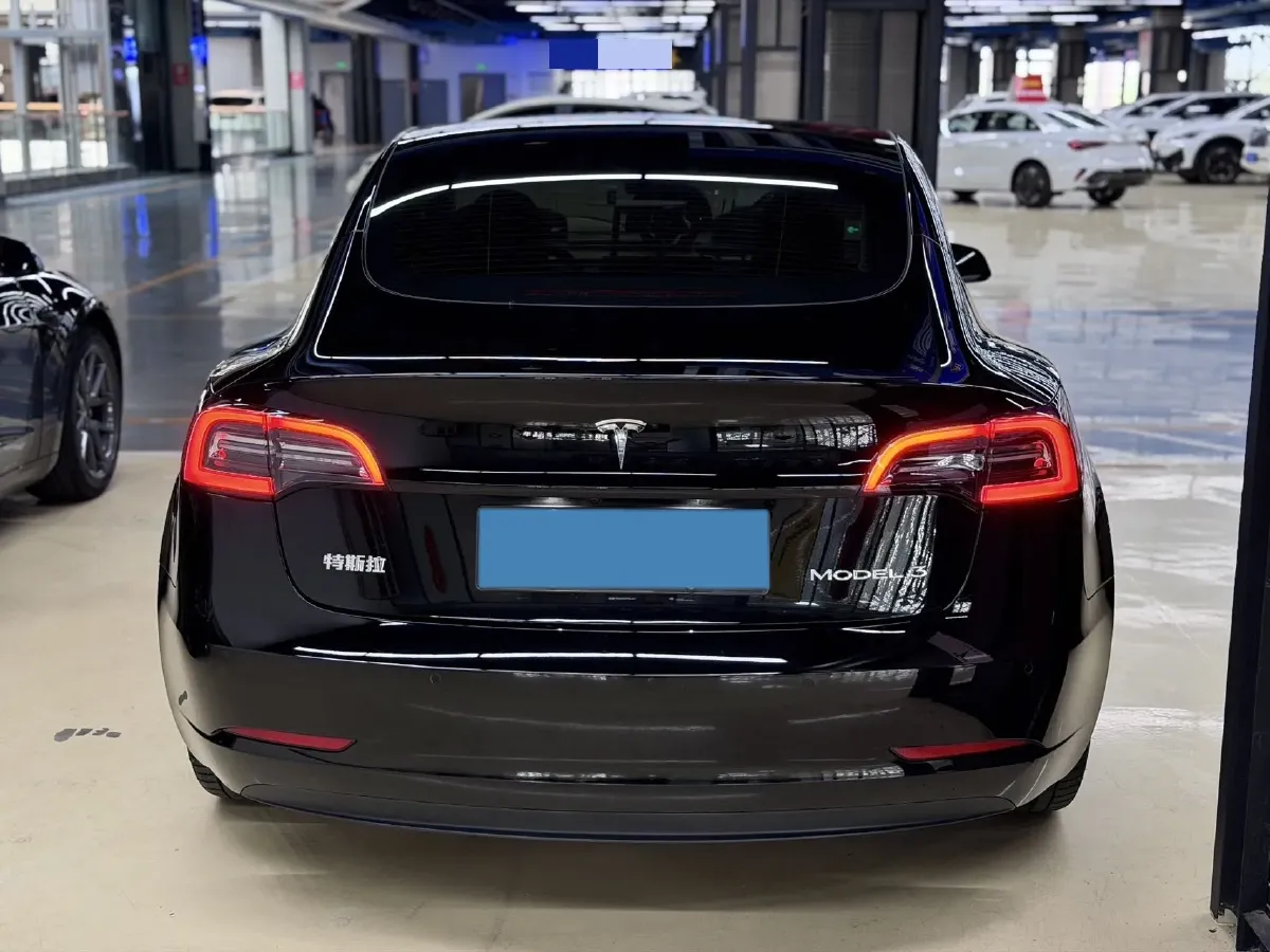 2021 Tesla Model 3 BEV 55KWH,autocango,china used car exporter,china ev exporter,chinese used car exporter,chinese used ev exporter