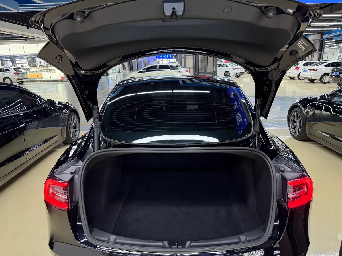 2021 Tesla Model 3 BEV 55KWH,autocango,china used car exporter,china ev exporter,chinese used car exporter,chinese used ev exporter