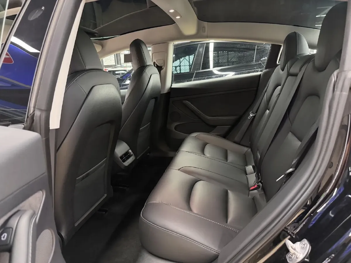 2021 Tesla Model 3 BEV 55KWH,autocango,china used car exporter,china ev exporter,chinese used car exporter,chinese used ev exporter