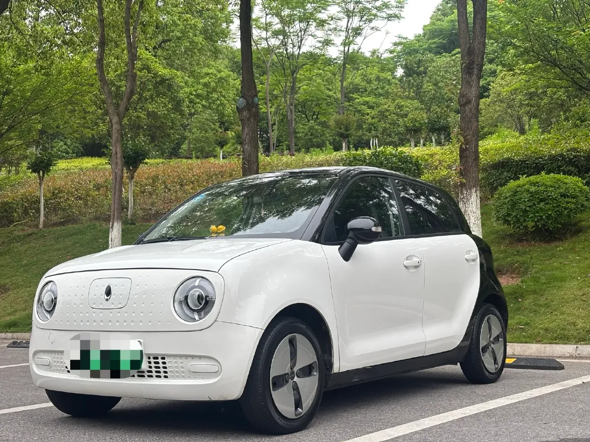 2021 Ora BlackCat BEV 30.3KWH,autocango,china used car exporter,china ev exporter,chinese used car exporter,chinese used ev exporter