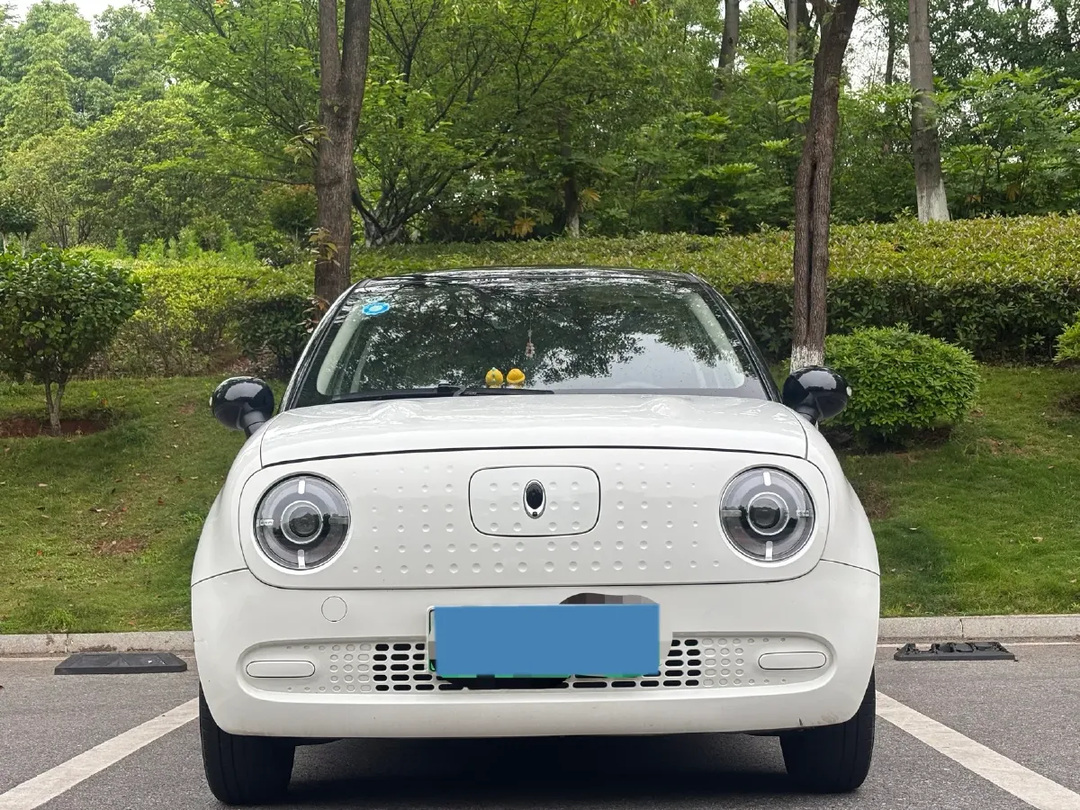 2021 Ora BlackCat BEV 30.3KWH,autocango,china used car exporter,china ev exporter,chinese used car exporter,chinese used ev exporter