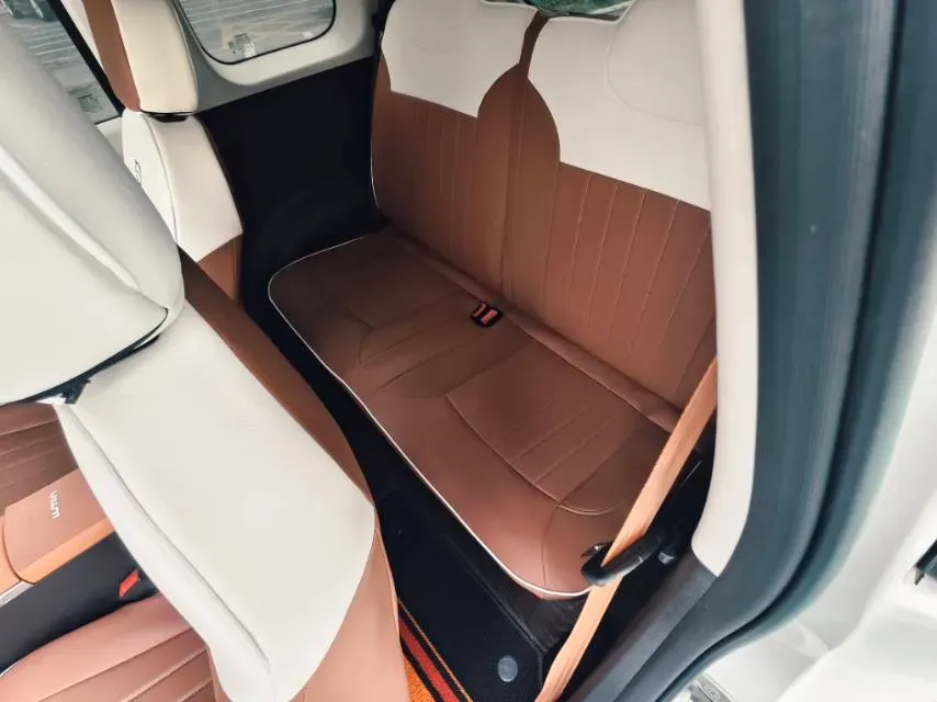 2025 ChangAn QiYuan Lumin BEV,autocango,china used car exporter,china ev exporter,chinese used car exporter,chinese used ev exporter
