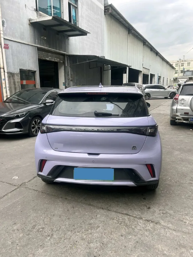 2023 BYD Dolphin BEV 44.928KWH,autocango,china used car exporter,china ev exporter,chinese used car exporter,chinese used ev exporter