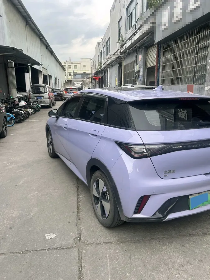 2023 BYD Dolphin BEV 44.928KWH,autocango,china used car exporter,china ev exporter,chinese used car exporter,chinese used ev exporter