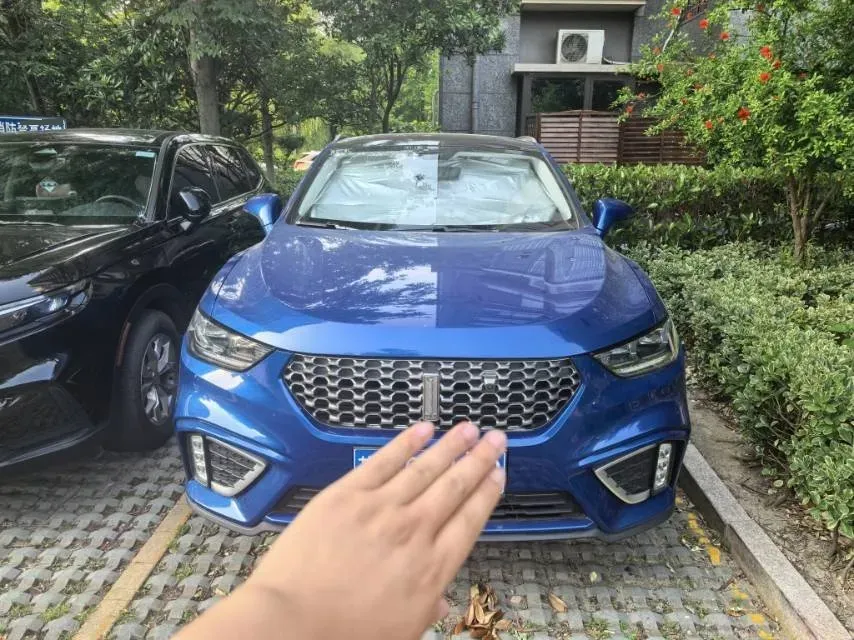 2021 WEY VV5 1.5T 171HP L4 7DCT,autocango,china used car exporter,china ev exporter,chinese used car exporter,chinese used ev exporter