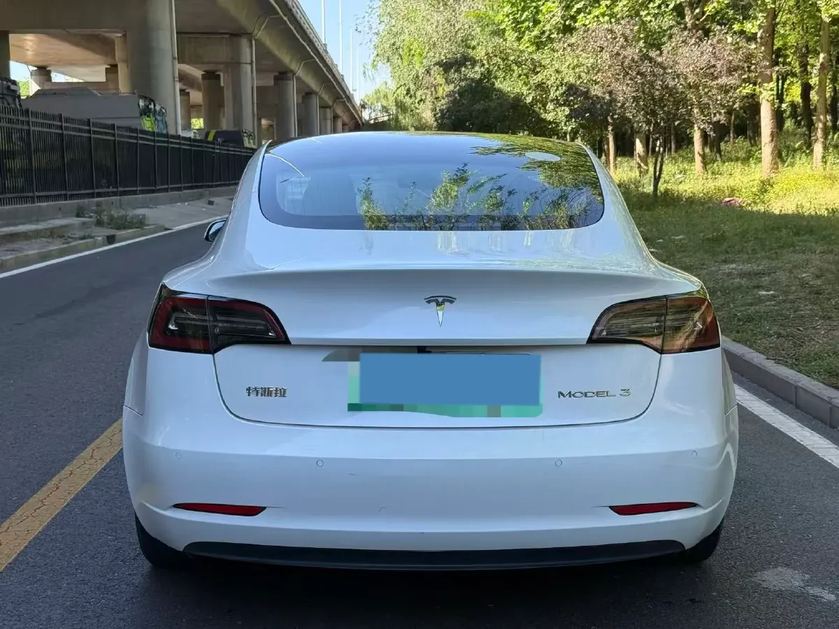 2020 Tesla Model 3 BEV 52KWH,autocango,china used car exporter,china ev exporter,chinese used car exporter,chinese used ev exporter