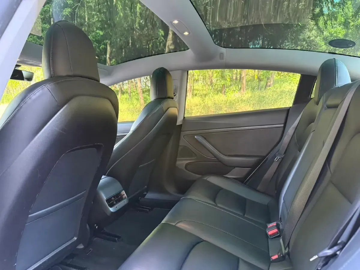 2020 Tesla Model 3 BEV 52KWH,autocango,china used car exporter,china ev exporter,chinese used car exporter,chinese used ev exporter