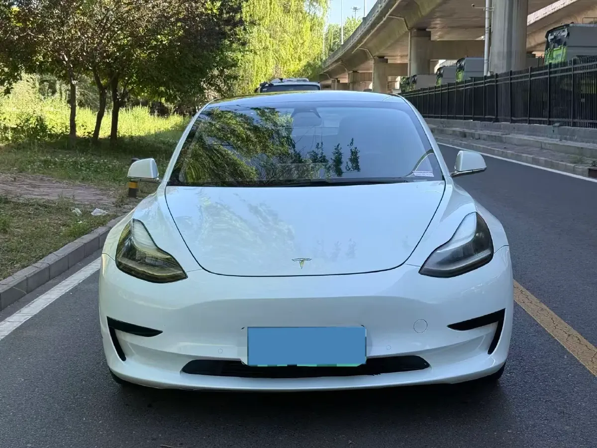 2020 Tesla Model 3 BEV 52KWH,autocango,china used car exporter,china ev exporter,chinese used car exporter,chinese used ev exporter