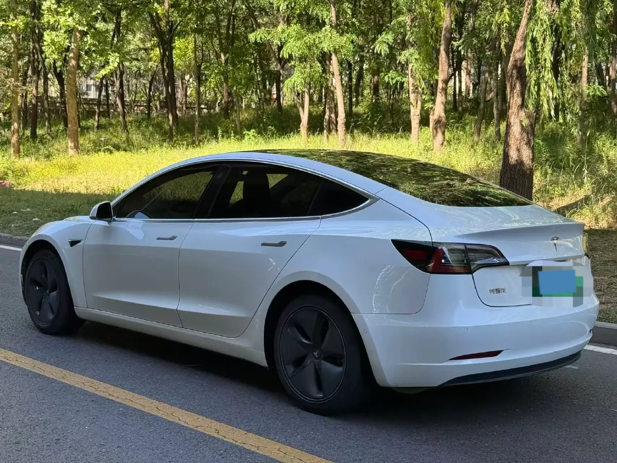 2020 Tesla Model 3 BEV 52KWH,autocango,china used car exporter,china ev exporter,chinese used car exporter,chinese used ev exporter