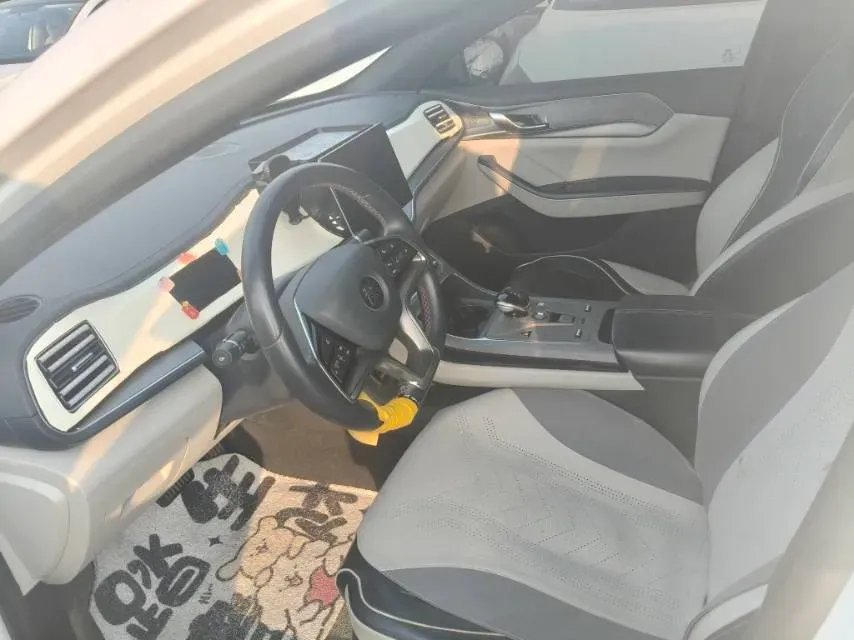 2021 DongFeng FuKang e Elysee BEV 30.7KWH,autocango,china used car exporter,china ev exporter,chinese used car exporter,chinese used ev exporter