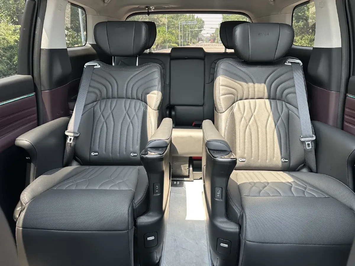 2024 GAC Trumpchi M8 2.0T 190HP L4 2DHT Hybrid,autocango,china used car exporter,china ev exporter,chinese used car exporter,chinese used ev exporter