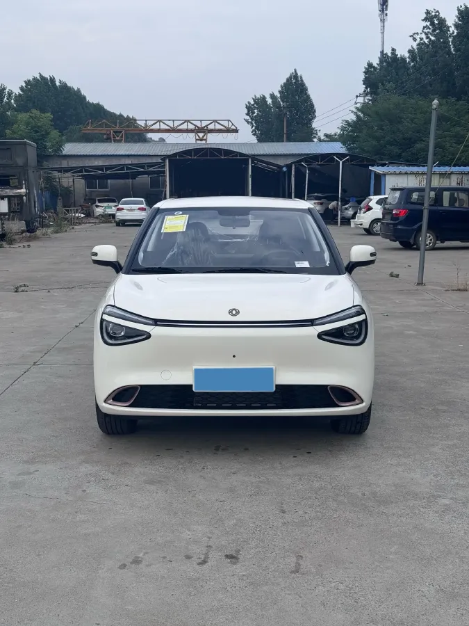 2026 DongFeng eπ 01 BEV,autocango,china used car exporter,china ev exporter,chinese used car exporter,chinese used ev exporter