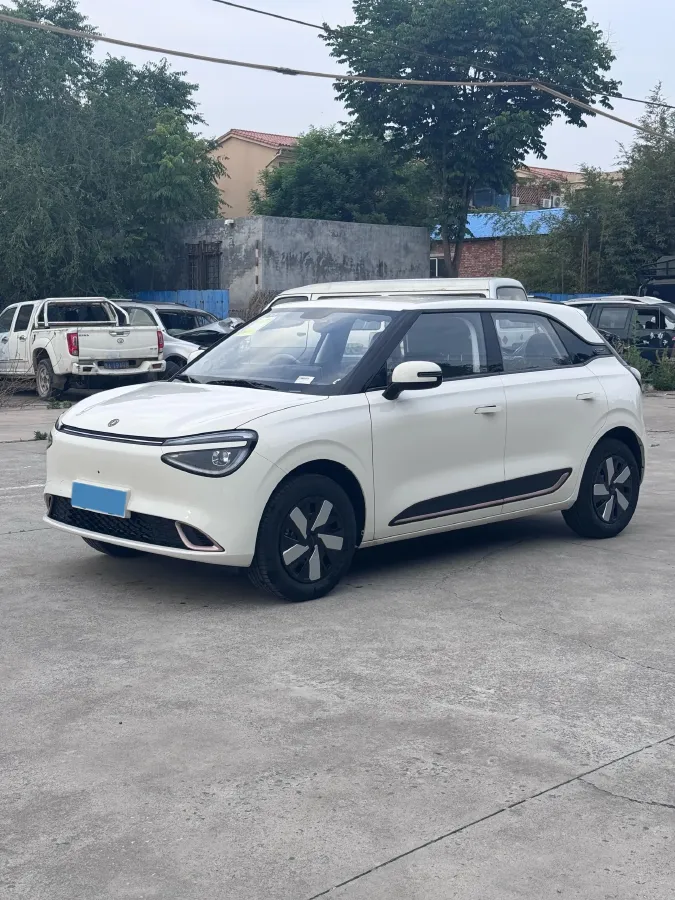 2026 DongFeng eπ 01 BEV,autocango,china used car exporter,china ev exporter,chinese used car exporter,chinese used ev exporter