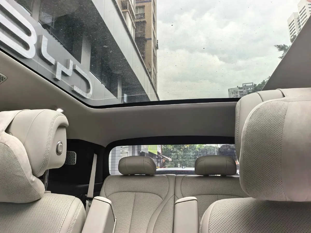 2025 Denza DenzaN9 2.0T 207HP L4 E-CVT PHEV,autocango,china used car exporter,china ev exporter,chinese used car exporter,chinese used ev exporter
