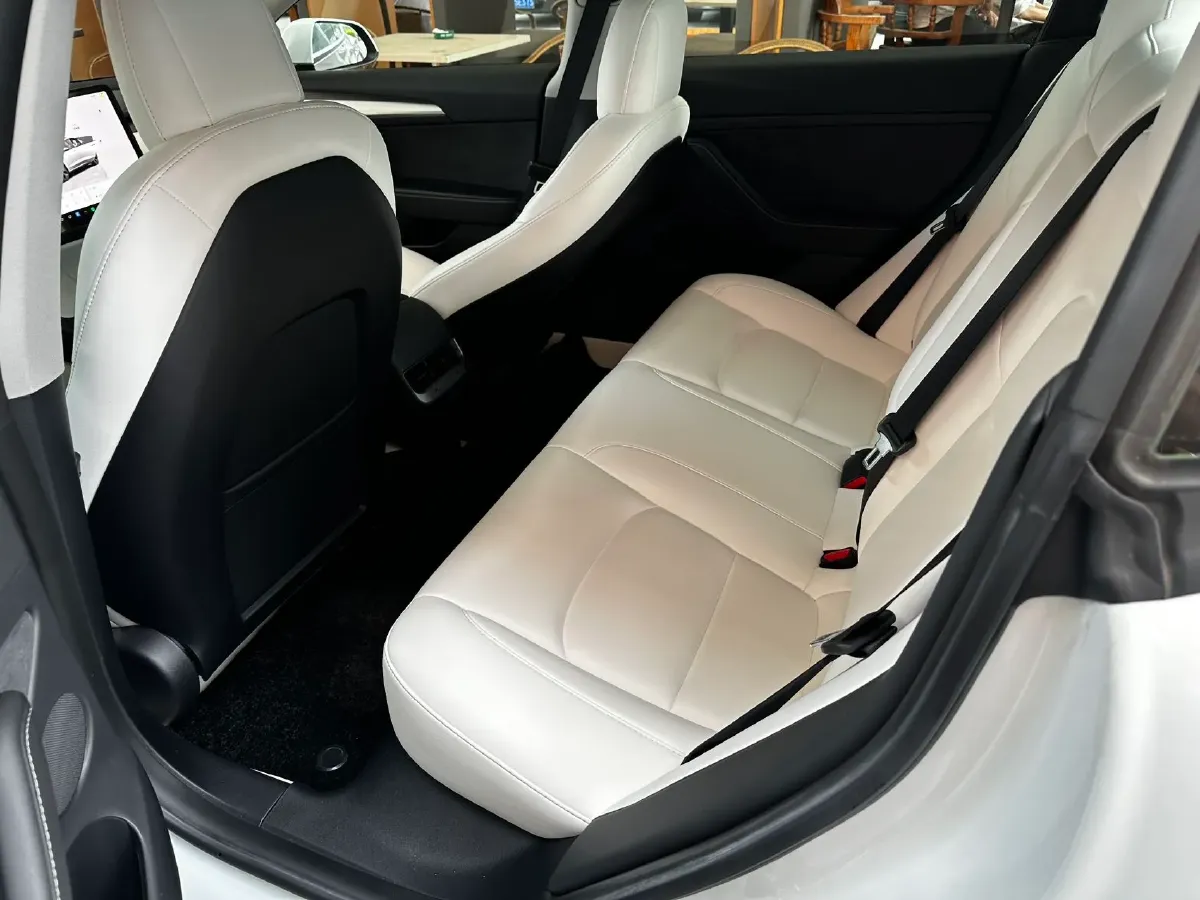 2022 Tesla Model 3 BEV 60KWH,autocango,china used car exporter,china ev exporter,chinese used car exporter,chinese used ev exporter