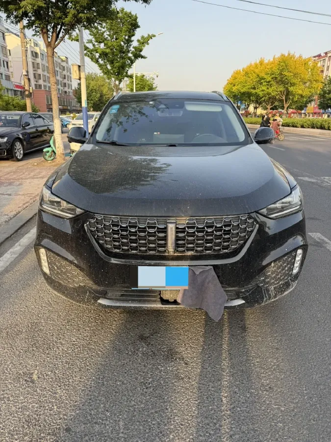 2021 WEY VV6 2.0T 227HP L4 7DCT,autocango,china used car exporter,china ev exporter,chinese used car exporter,chinese used ev exporter