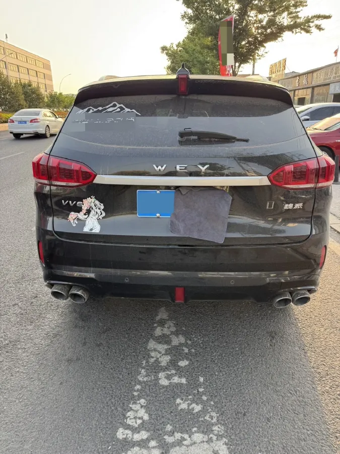 2021 WEY VV6 2.0T 227HP L4 7DCT,autocango,china used car exporter,china ev exporter,chinese used car exporter,chinese used ev exporter