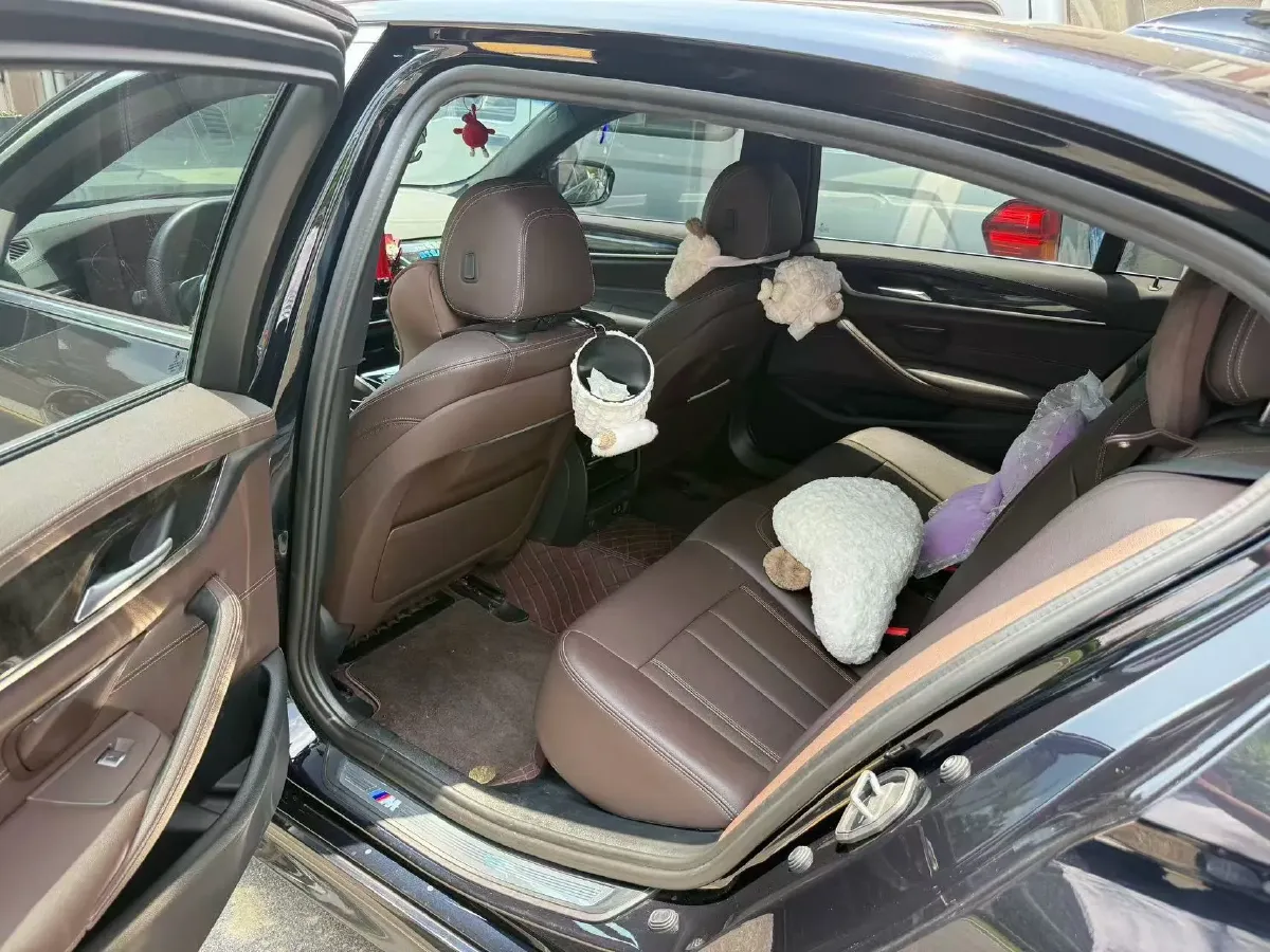 2020 BMW 5 Series 2.0T 184HP L4 8AT,autocango,china used car exporter,china ev exporter,chinese used car exporter,chinese used ev exporter