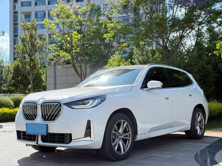 2025 BMW X3 2.0T 190HP L4 8AT,autocango,china used car exporter,china ev exporter,chinese used car exporter,chinese used ev exporter