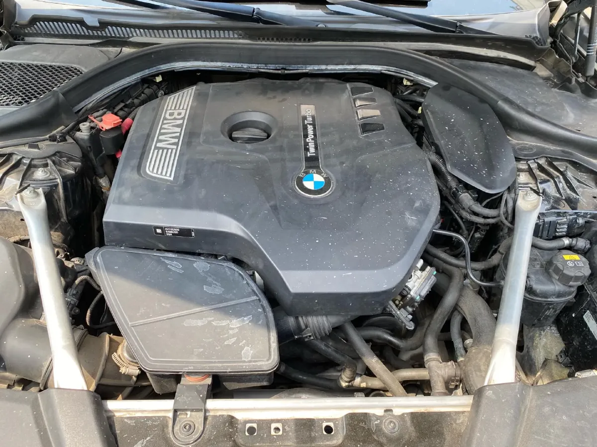 2020 BMW 5 Series 2.0T 252HP L4 8AT,autocango,china used car exporter,china ev exporter,chinese used car exporter,chinese used ev exporter