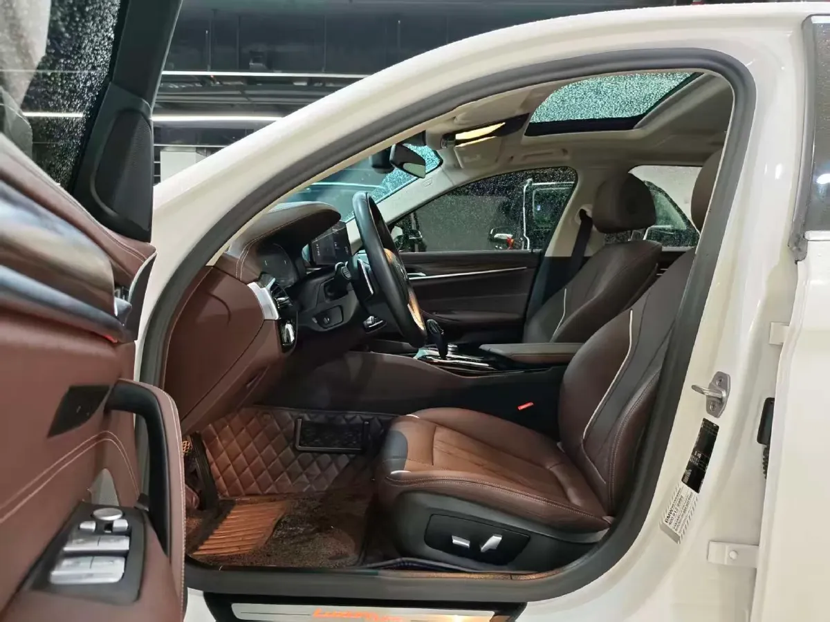 2021 BMW 5 Series 2.0T 252HP L4 8AT,autocango,china used car exporter,china ev exporter,chinese used car exporter,chinese used ev exporter