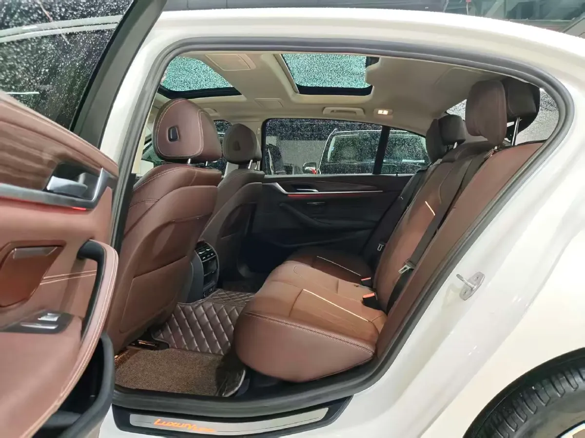 2021 BMW 5 Series 2.0T 252HP L4 8AT,autocango,china used car exporter,china ev exporter,chinese used car exporter,chinese used ev exporter