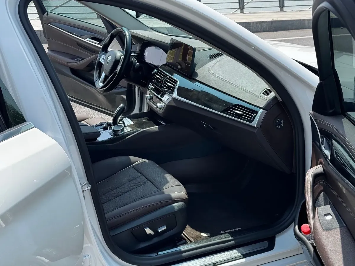 2021 BMW 5 Series 2.0T 184HP L4 8AT,autocango,china used car exporter,china ev exporter,chinese used car exporter,chinese used ev exporter