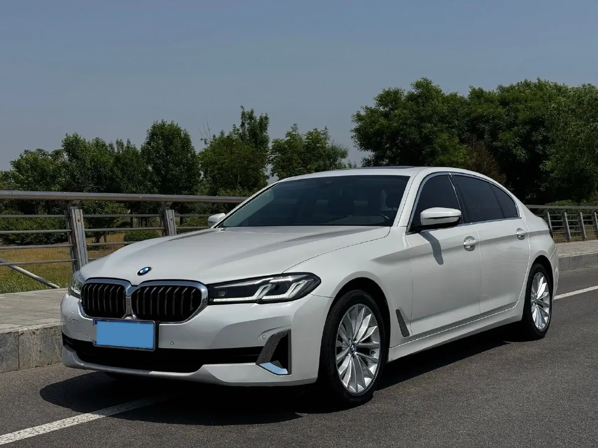 2021 BMW 5 Series 2.0T 184HP L4 8AT,autocango,china used car exporter,china ev exporter,chinese used car exporter,chinese used ev exporter