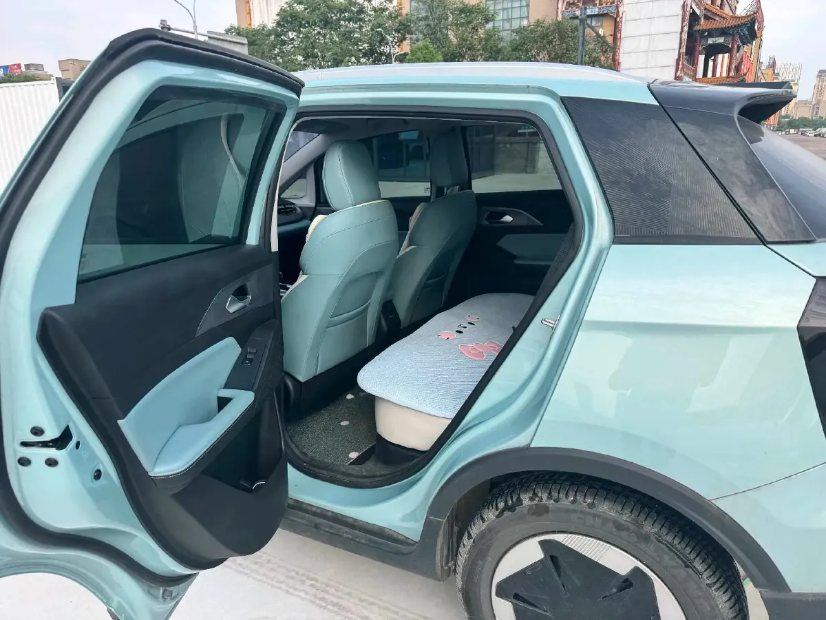 2024 Geometry E BEV 29.67KWH,autocango,china used car exporter,china ev exporter,chinese used car exporter,chinese used ev exporter