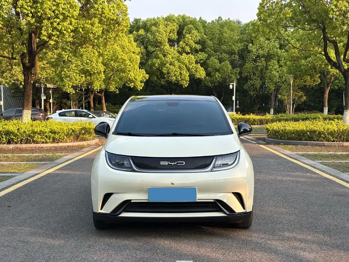 2021 BYD Yuan Pro BEV 50.1KWH,autocango,china used car exporter,china ev exporter,chinese used car exporter,chinese used ev exporter