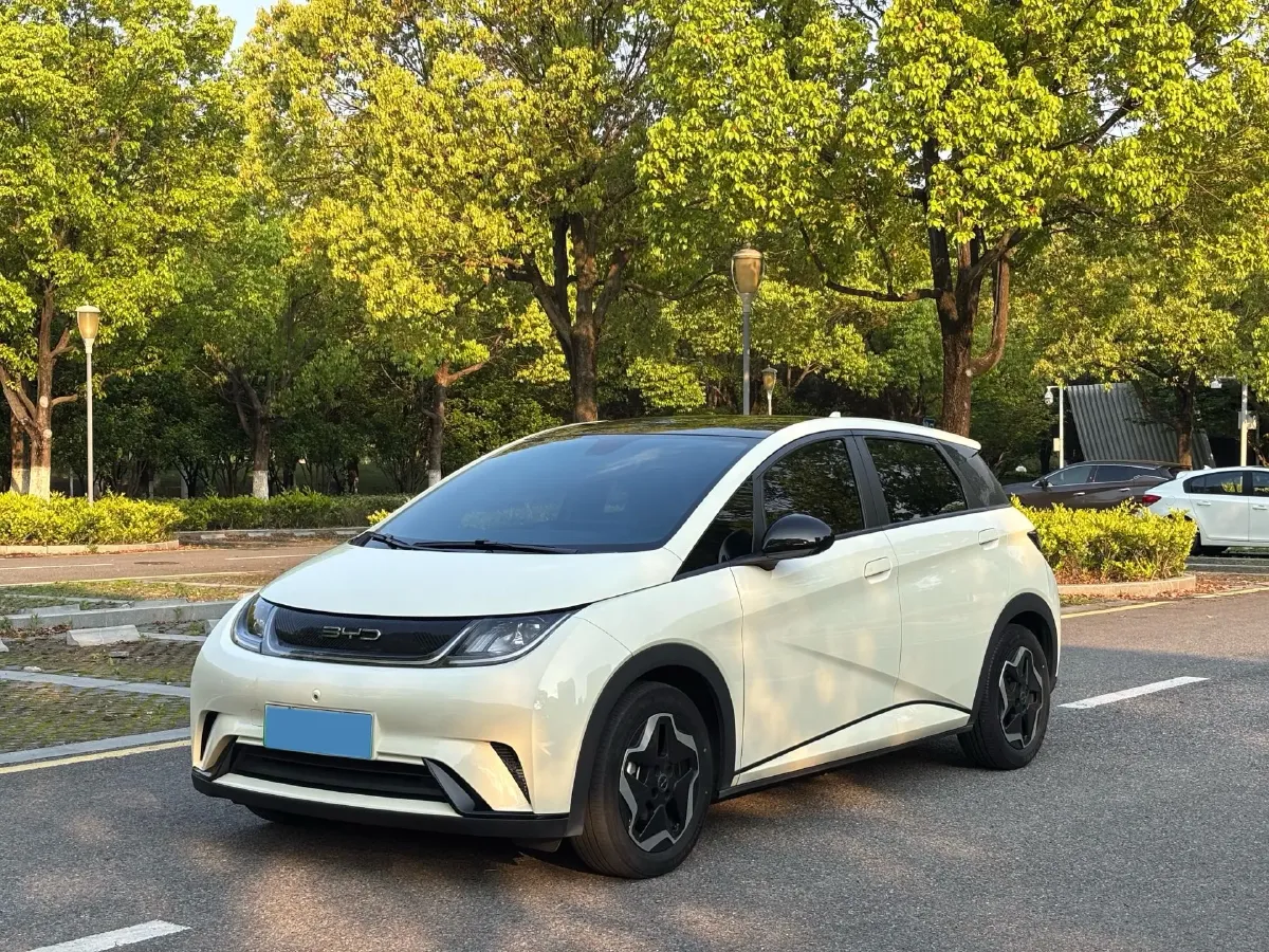 2021 BYD Yuan Pro BEV 50.1KWH,autocango,china used car exporter,china ev exporter,chinese used car exporter,chinese used ev exporter