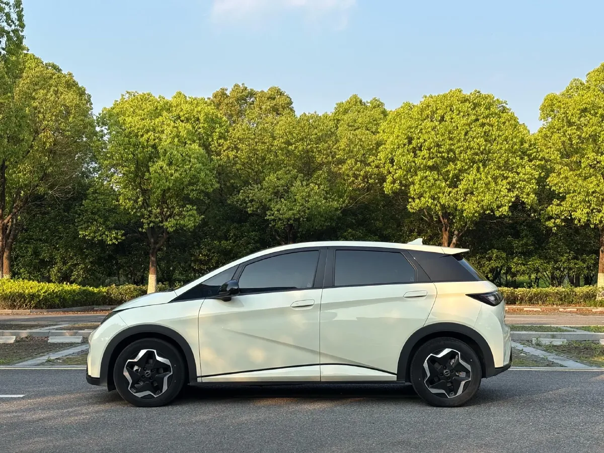 2021 BYD Yuan Pro BEV 50.1KWH,autocango,china used car exporter,china ev exporter,chinese used car exporter,chinese used ev exporter
