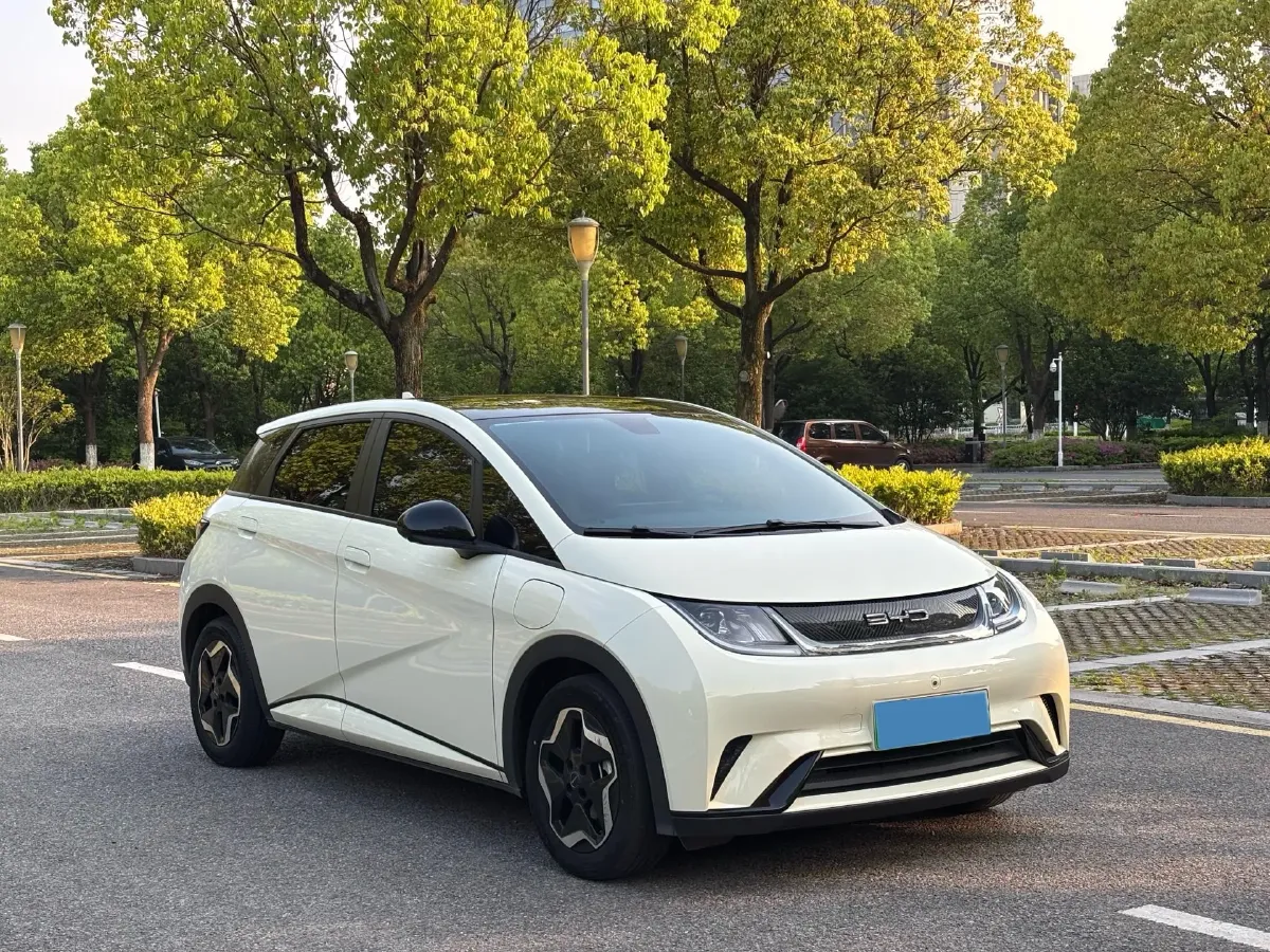 2021 BYD Yuan Pro BEV 50.1KWH,autocango,china used car exporter,china ev exporter,chinese used car exporter,chinese used ev exporter