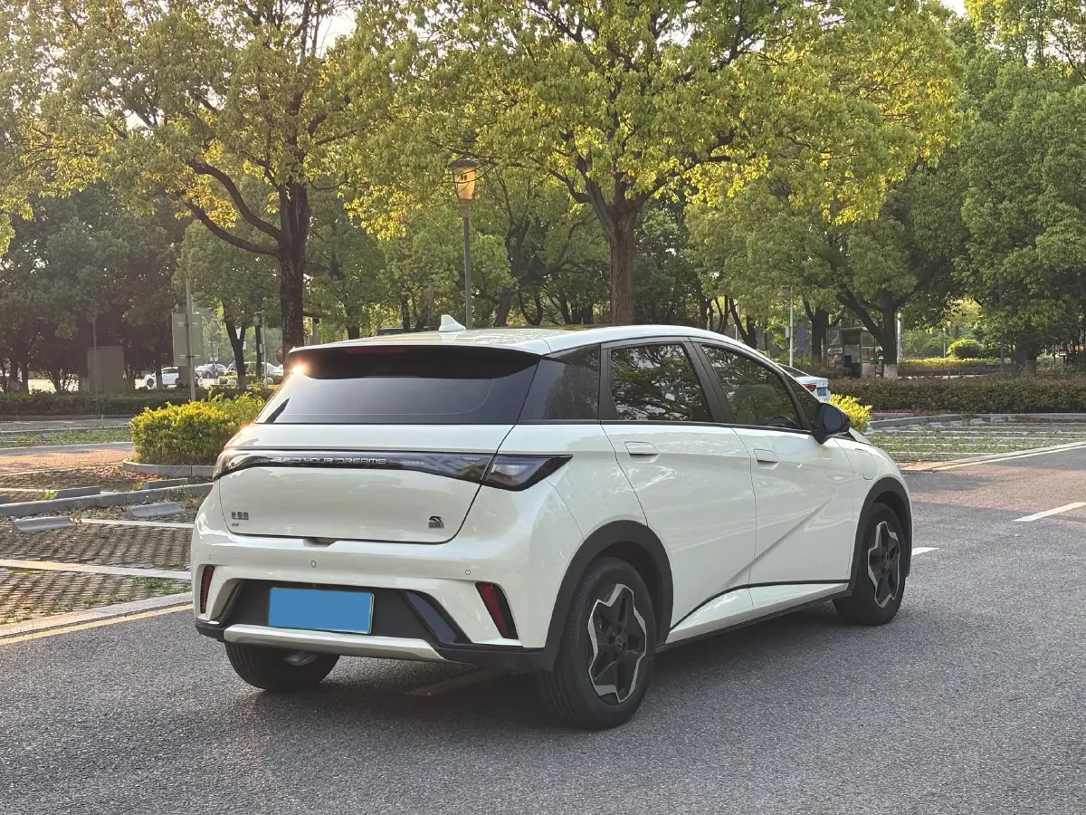 2021 BYD Yuan Pro BEV 50.1KWH,autocango,china used car exporter,china ev exporter,chinese used car exporter,chinese used ev exporter