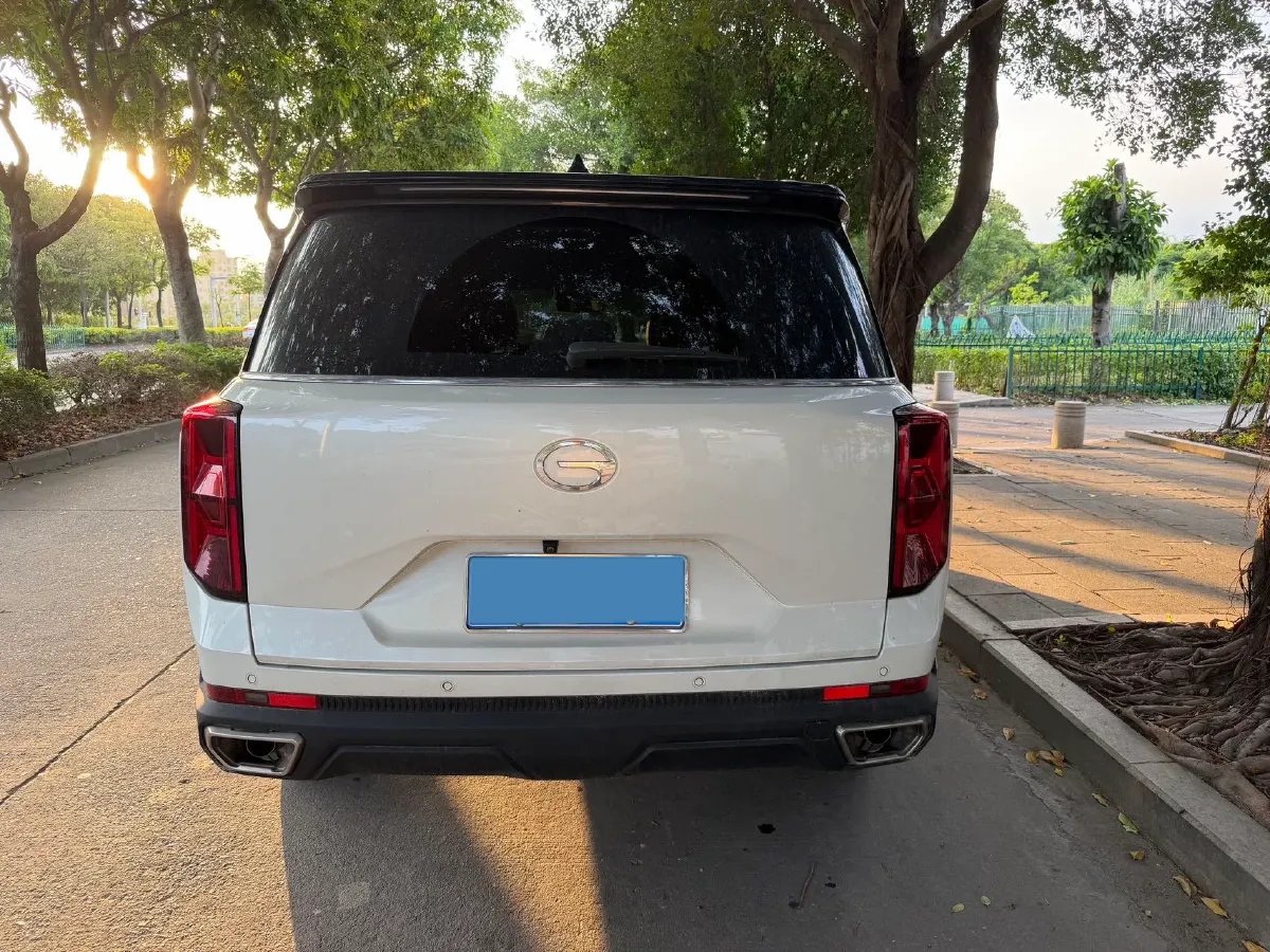 2025 GAC Trumpchi GS8 2.0T 252HP L4 8AT,autocango,china used car exporter,china ev exporter,chinese used car exporter,chinese used ev exporter