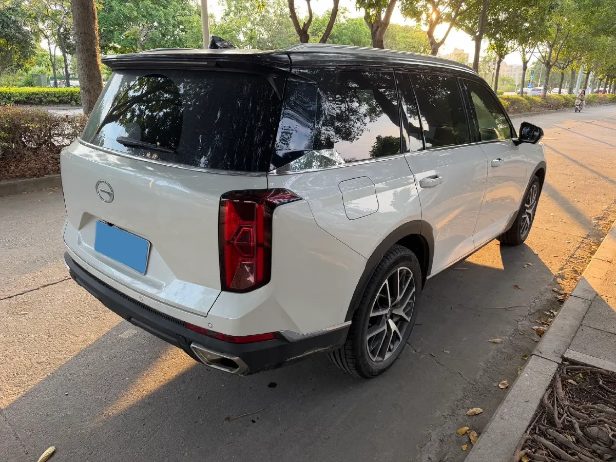 2025 GAC Trumpchi GS8 2.0T 252HP L4 8AT,autocango,china used car exporter,china ev exporter,chinese used car exporter,chinese used ev exporter