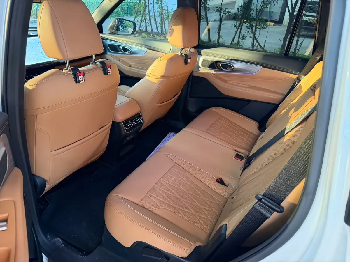 2025 GAC Trumpchi GS8 2.0T 252HP L4 8AT,autocango,china used car exporter,china ev exporter,chinese used car exporter,chinese used ev exporter