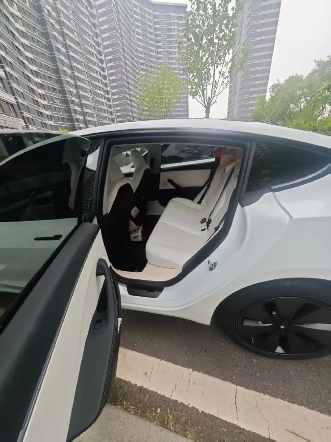 2025 Tesla Model 3 BEV 62.5KWH,autocango,china used car exporter,china ev exporter,chinese used car exporter,chinese used ev exporter