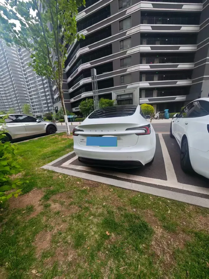 2025 Tesla Model 3 BEV 62.5KWH,autocango,china used car exporter,china ev exporter,chinese used car exporter,chinese used ev exporter